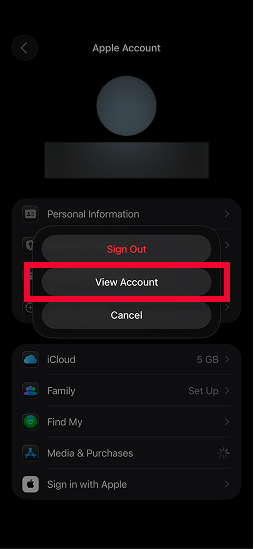 View Account на английском языке