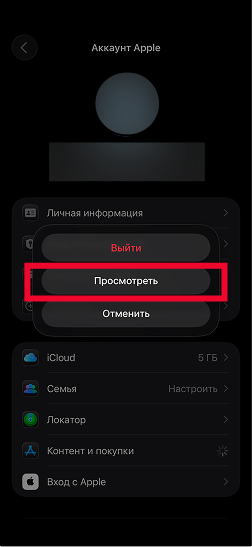 Просмотреть учетную запись на русском языке